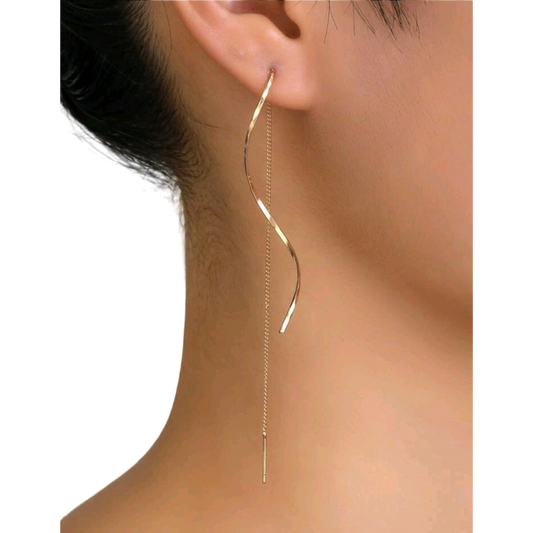 An elegant twist earrings