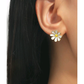 Sunshine and a daisy earrings